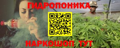 стаф Будённовск