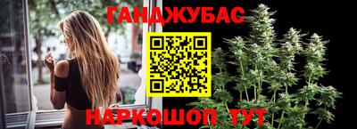 стаф Будённовск