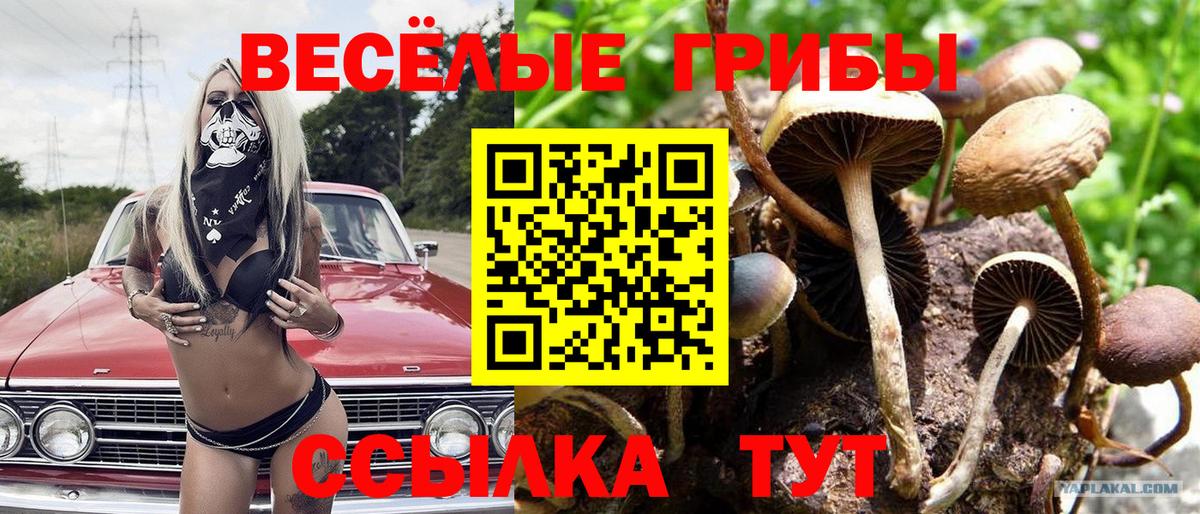 Галлюциногенные грибы MAGIC MUSHROOMS Волоколамск