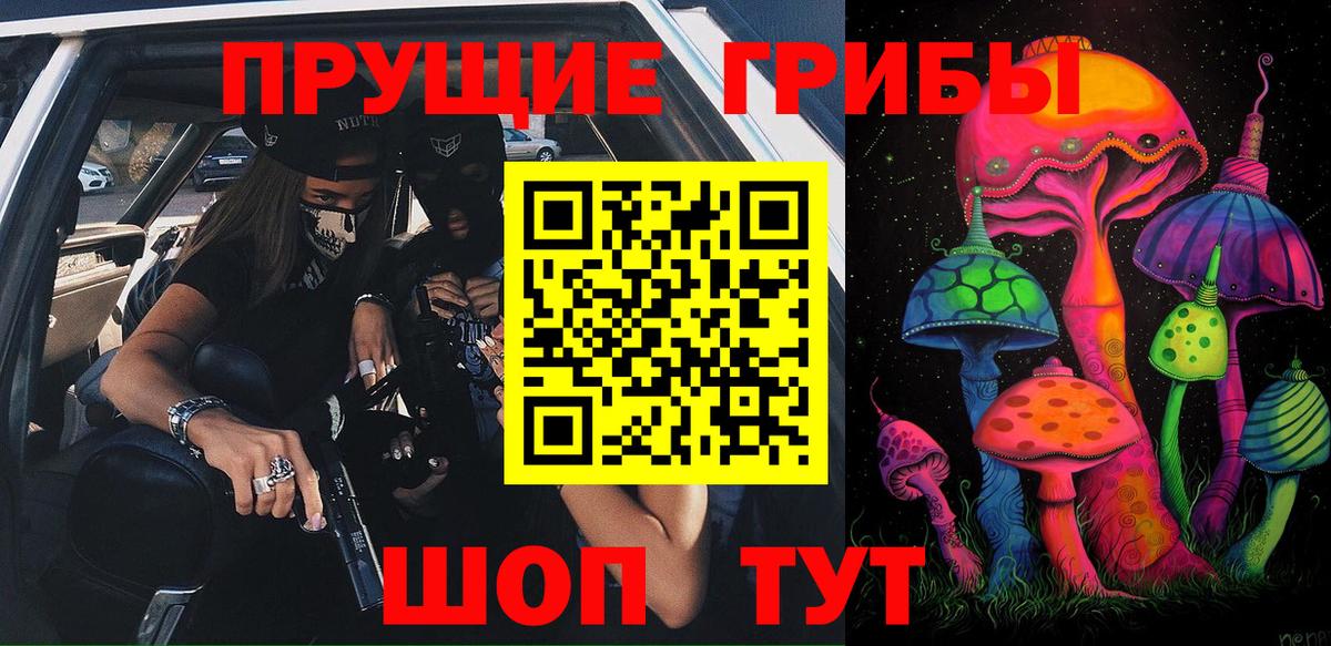 Псилоцибиновые грибы GOLDEN TEACHER  Галлюциногенные грибы MAGIC MUSHROOMS  Волоколамск  Вход с VPN 